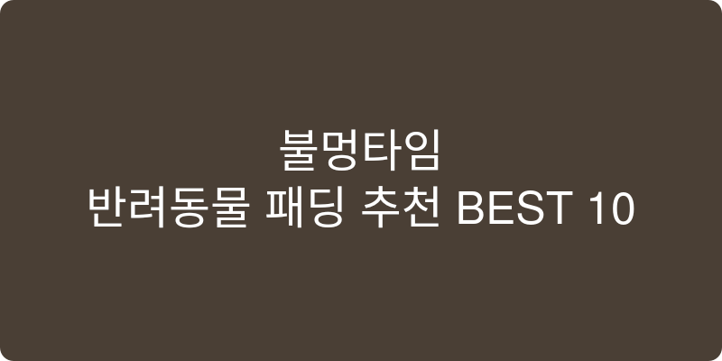반려동물 패딩 추천 이미지