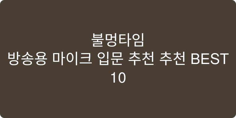 방송용 마이크 입문 추천 추천 이미지