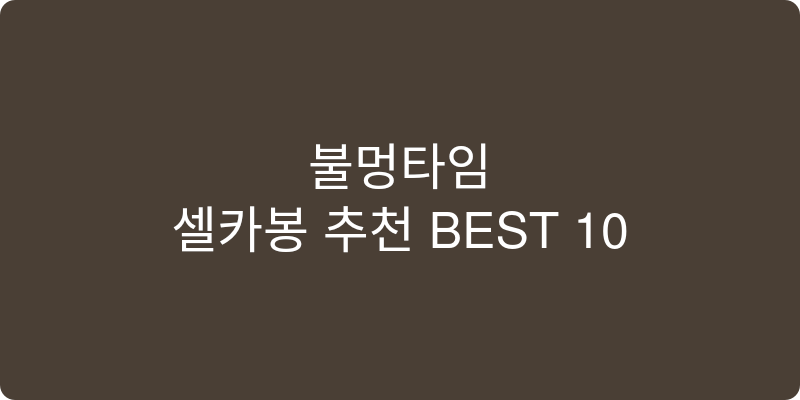 셀카봉 추천 이미지