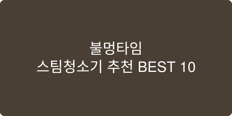 스팀청소기 추천 이미지