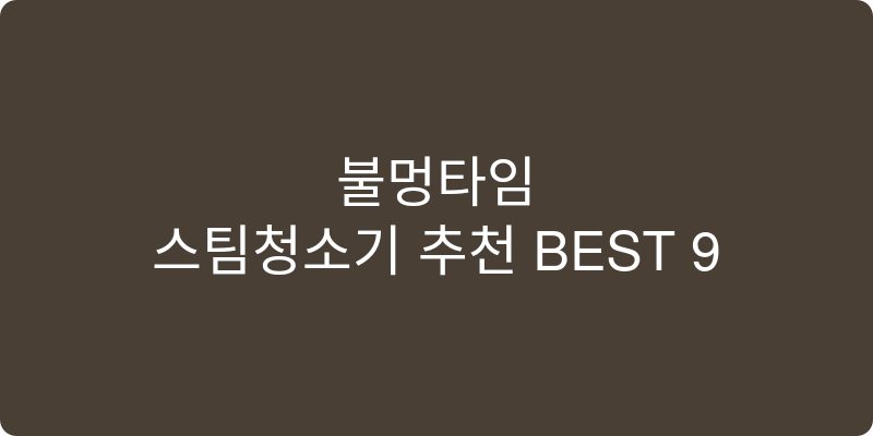 스팀청소기 추천 이미지