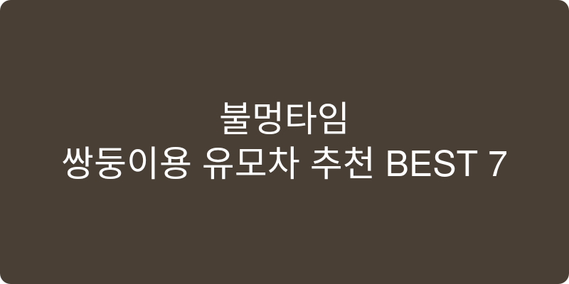 쌍둥이용 유모차 추천 이미지