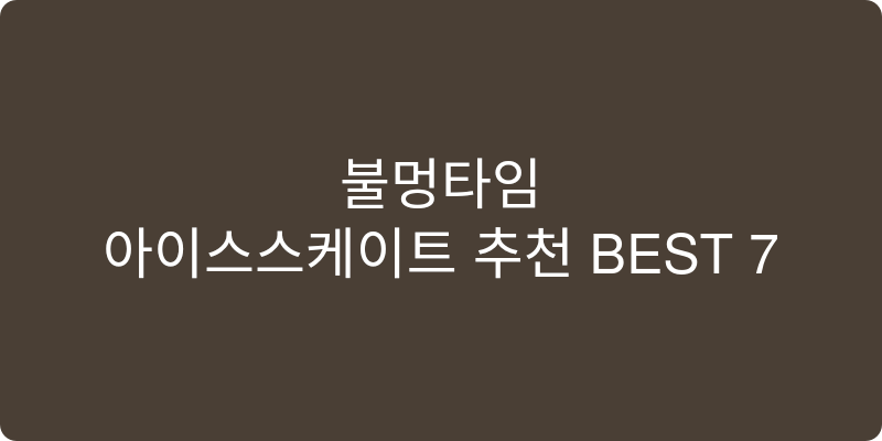 아이스스케이트 추천 이미지