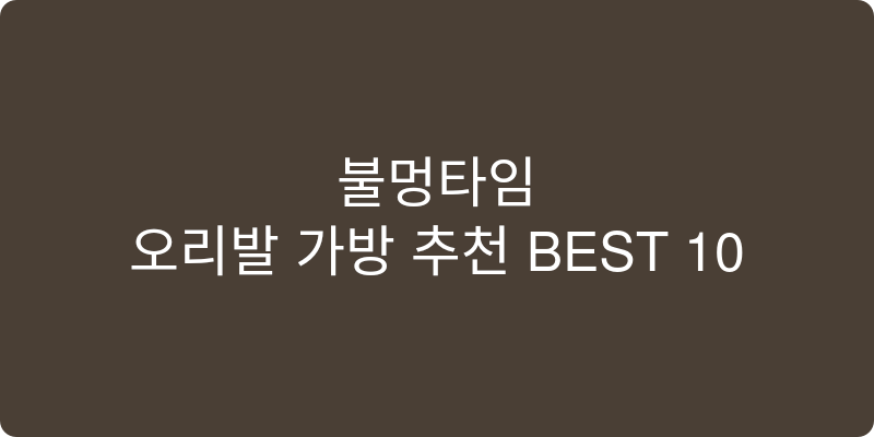 오리발 가방 추천 이미지