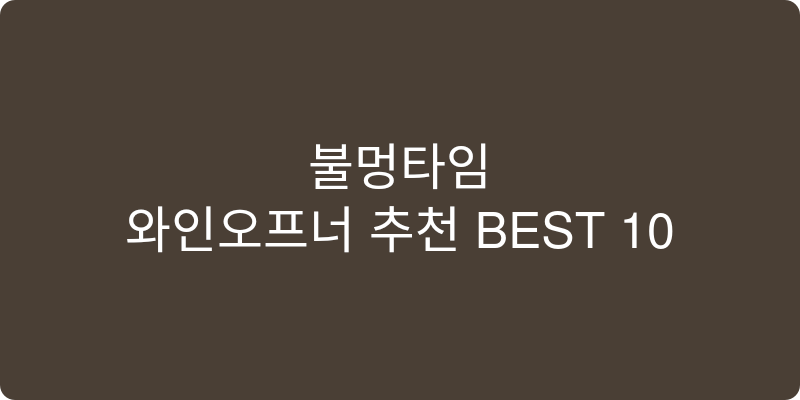 와인오프너 추천 이미지