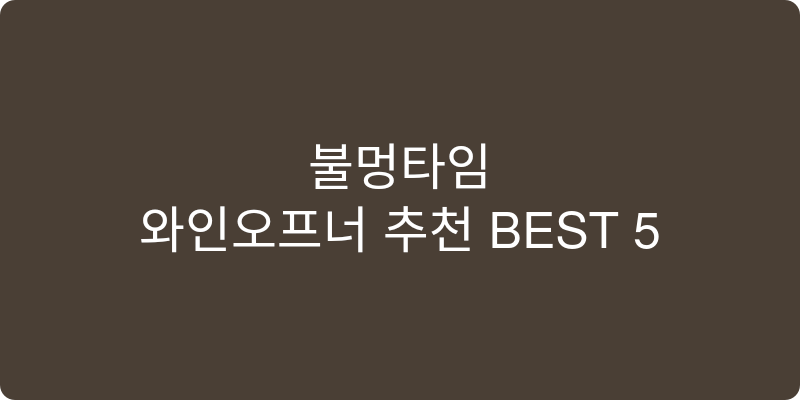 와인오프너 추천 이미지