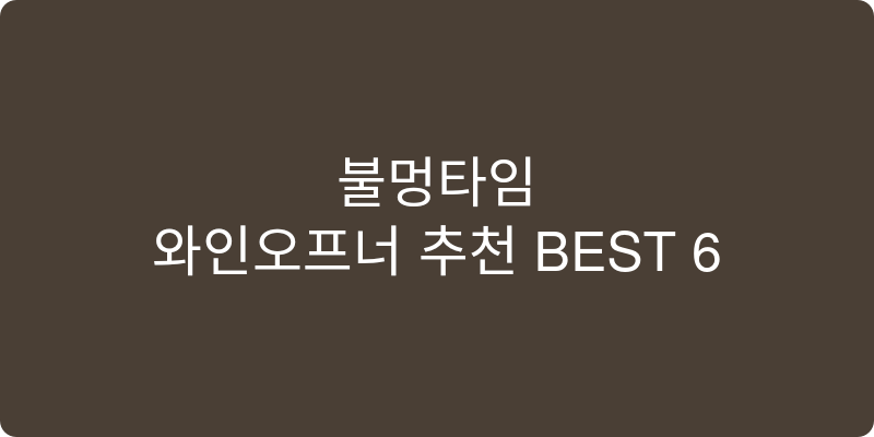 와인오프너 추천 이미지