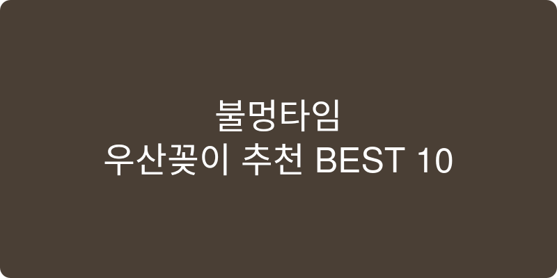 우산꽂이 추천 이미지