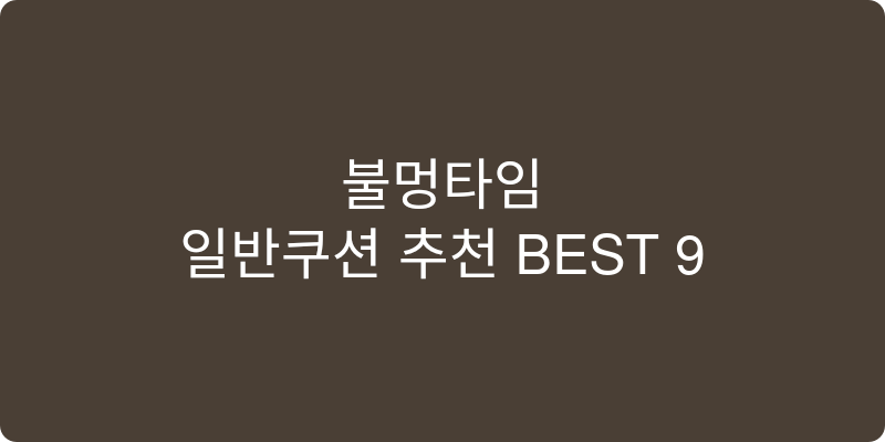 일반쿠션 추천 이미지