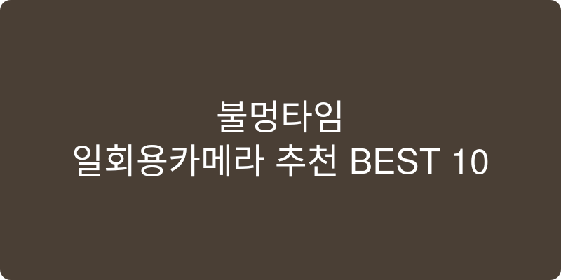 일회용카메라 추천 이미지