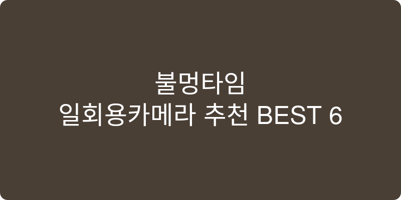 일회용카메라 추천 이미지