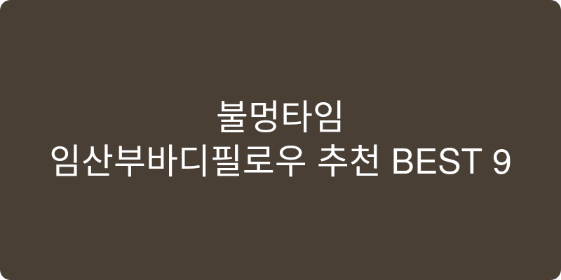 임산부바디필로우 추천 이미지