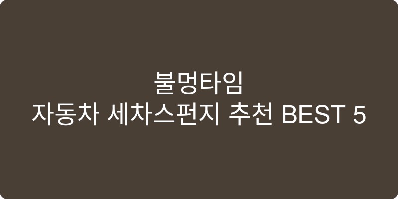 자동차 세차스펀지 추천 이미지