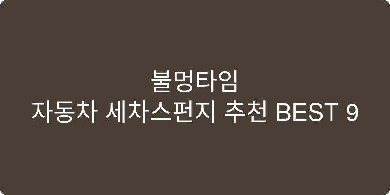 자동차 세차스펀지 추천 이미지