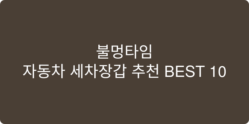 자동차 세차장갑 추천 이미지