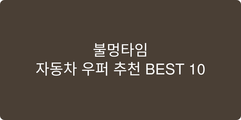 자동차 우퍼 추천 이미지