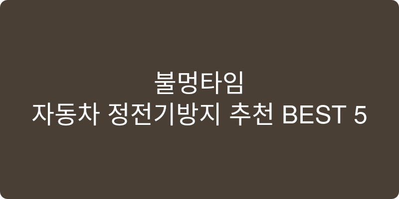 자동차 정전기방지 추천 이미지
