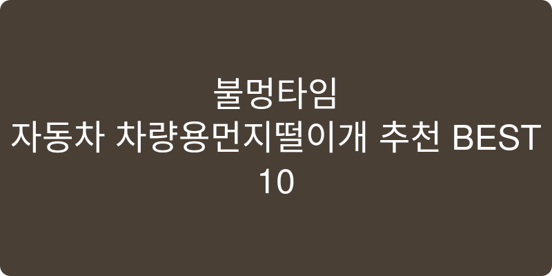 자동차 차량용먼지떨이개 추천 이미지