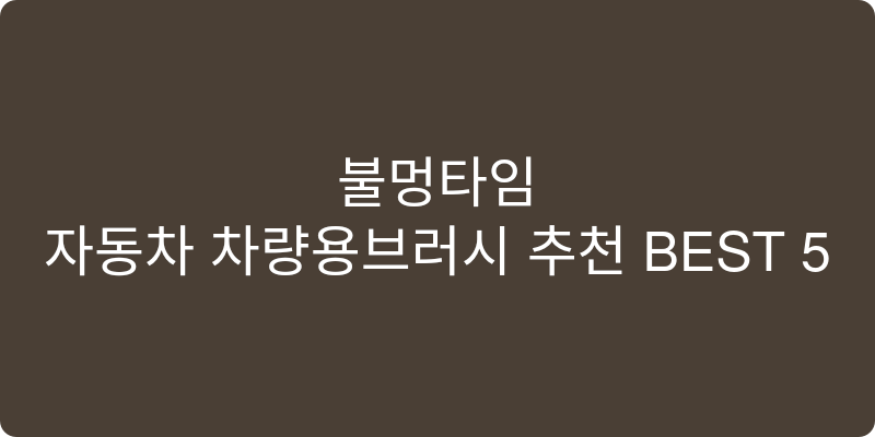 자동차 차량용브러시 추천 이미지