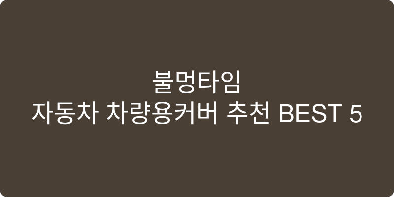 자동차 차량용커버 추천 이미지