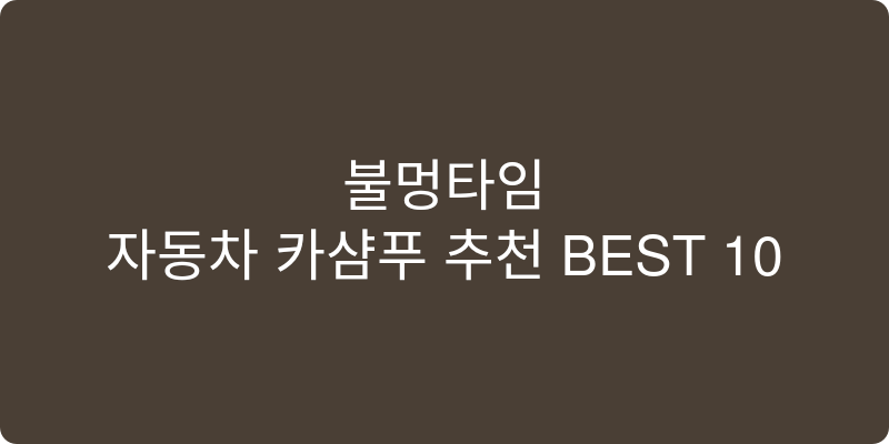 자동차 카샴푸 추천 이미지