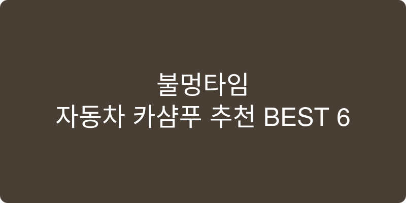 자동차 카샴푸 추천 이미지