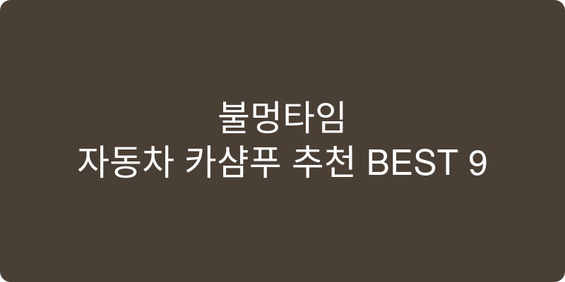 자동차 카샴푸 추천 이미지