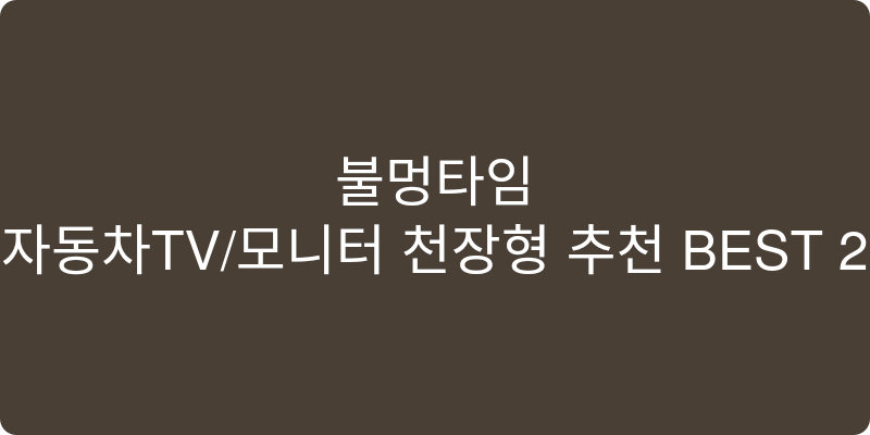 자동차TV/모니터 천장형 추천 이미지