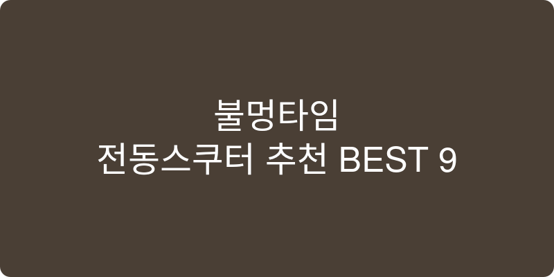 전동스쿠터 추천 이미지