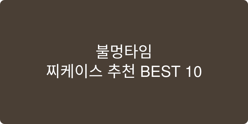 찌케이스 추천 이미지