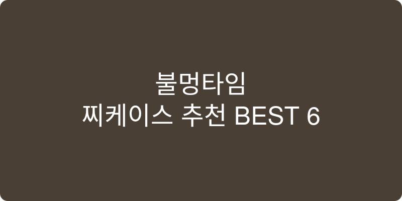 찌케이스 추천 이미지