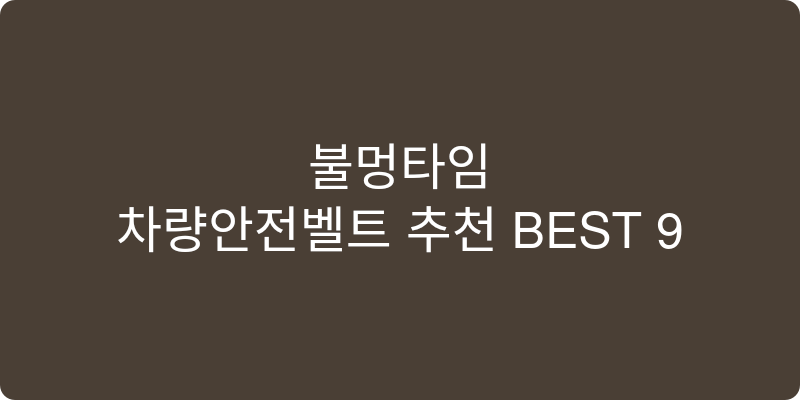 차량안전벨트 추천 이미지