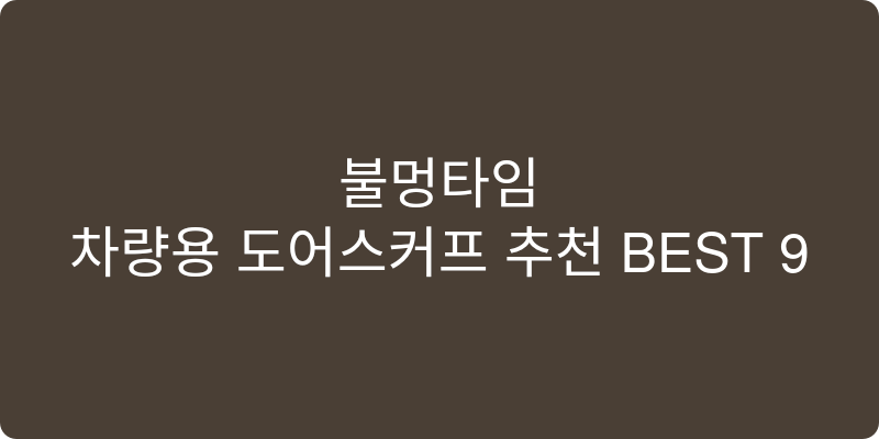 차량용 도어 스커프 추천 이미지