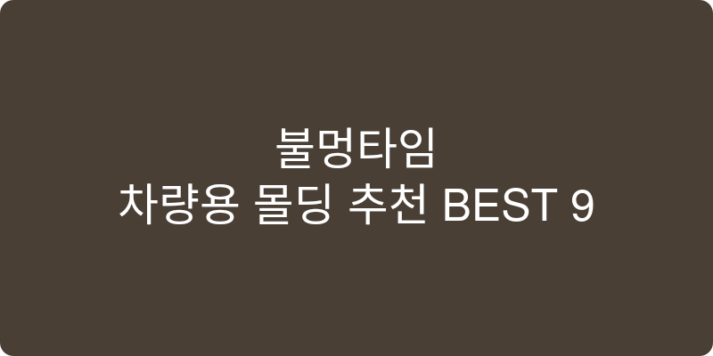 차량용 몰딩 추천 이미지