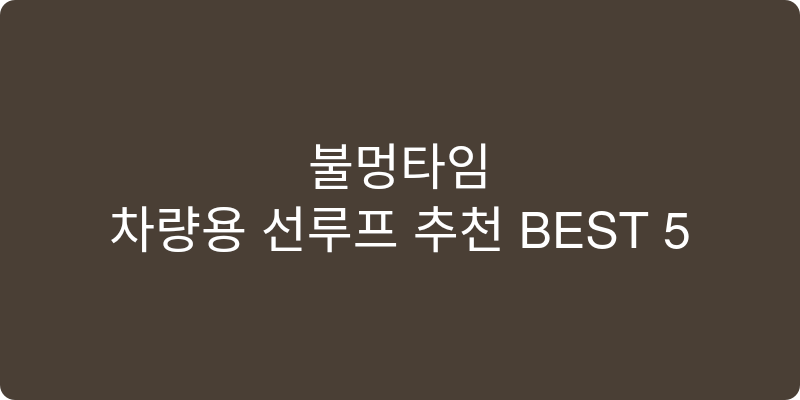 차량용 선루프 추천 이미지