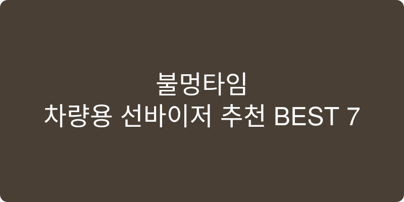 차량용 선바이저 추천 이미지
