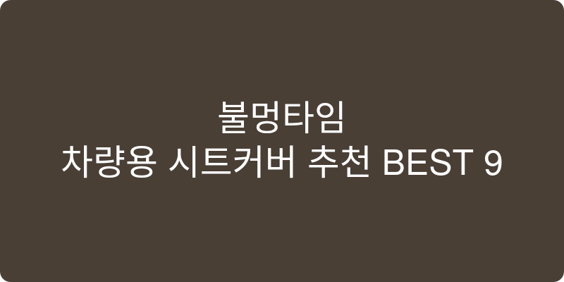 차량용 시트커버 추천 이미지