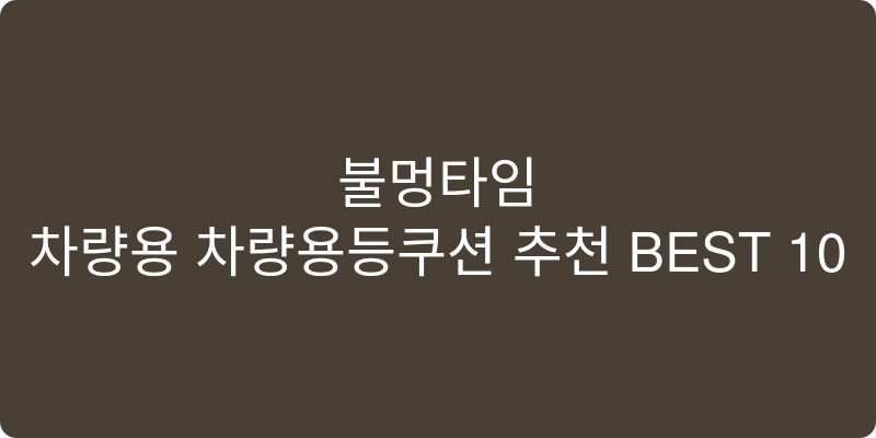차량용 차량용등쿠션 추천 이미지