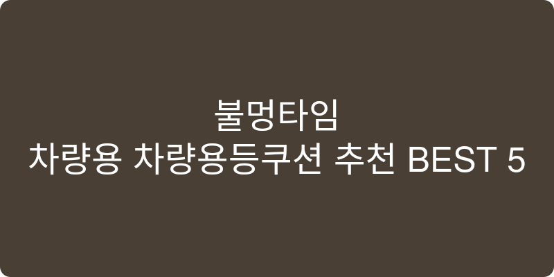 차량용 차량용등쿠션 추천 이미지