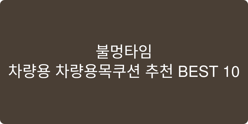차량용 차량용목쿠션 추천 이미지