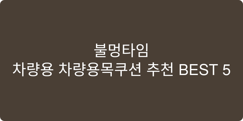 차량용 차량용목쿠션 추천 이미지