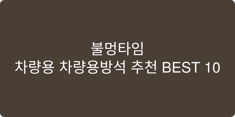 차량용 차량용방석 추천 이미지