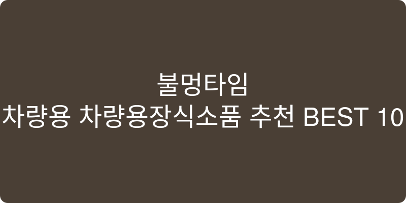 차량용 차량용장식소품 추천 이미지