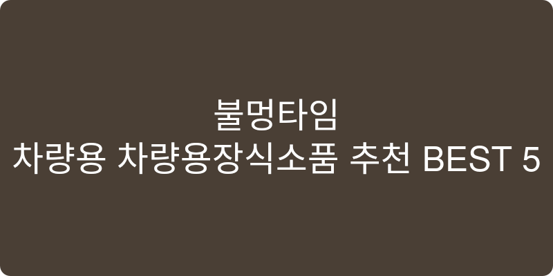 차량용 차량용장식소품 추천 이미지