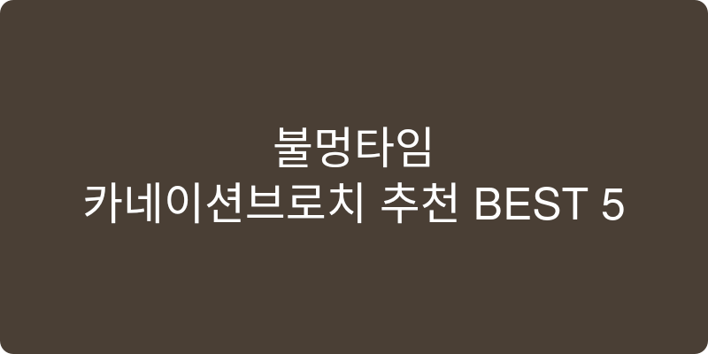 카네이션브로치 추천 이미지
