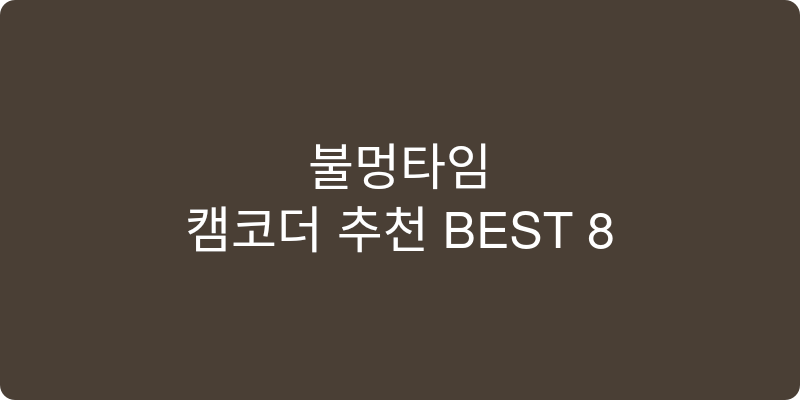 캠코더 추천 이미지