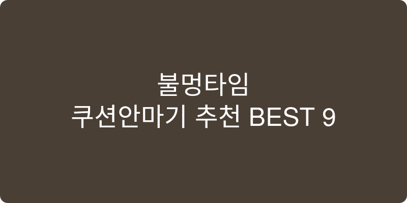 쿠션안마기 추천 이미지