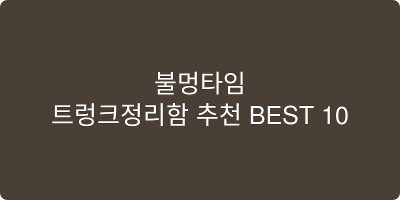 트렁크정리함 추천 이미지