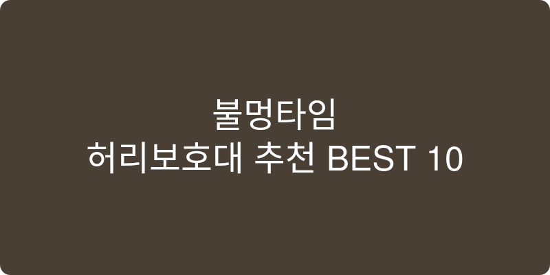 허리보호대 추천 이미지