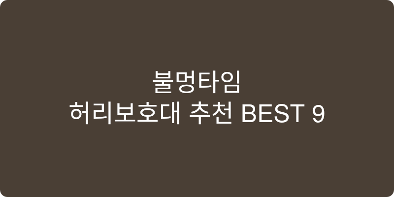 허리보호대 추천 이미지